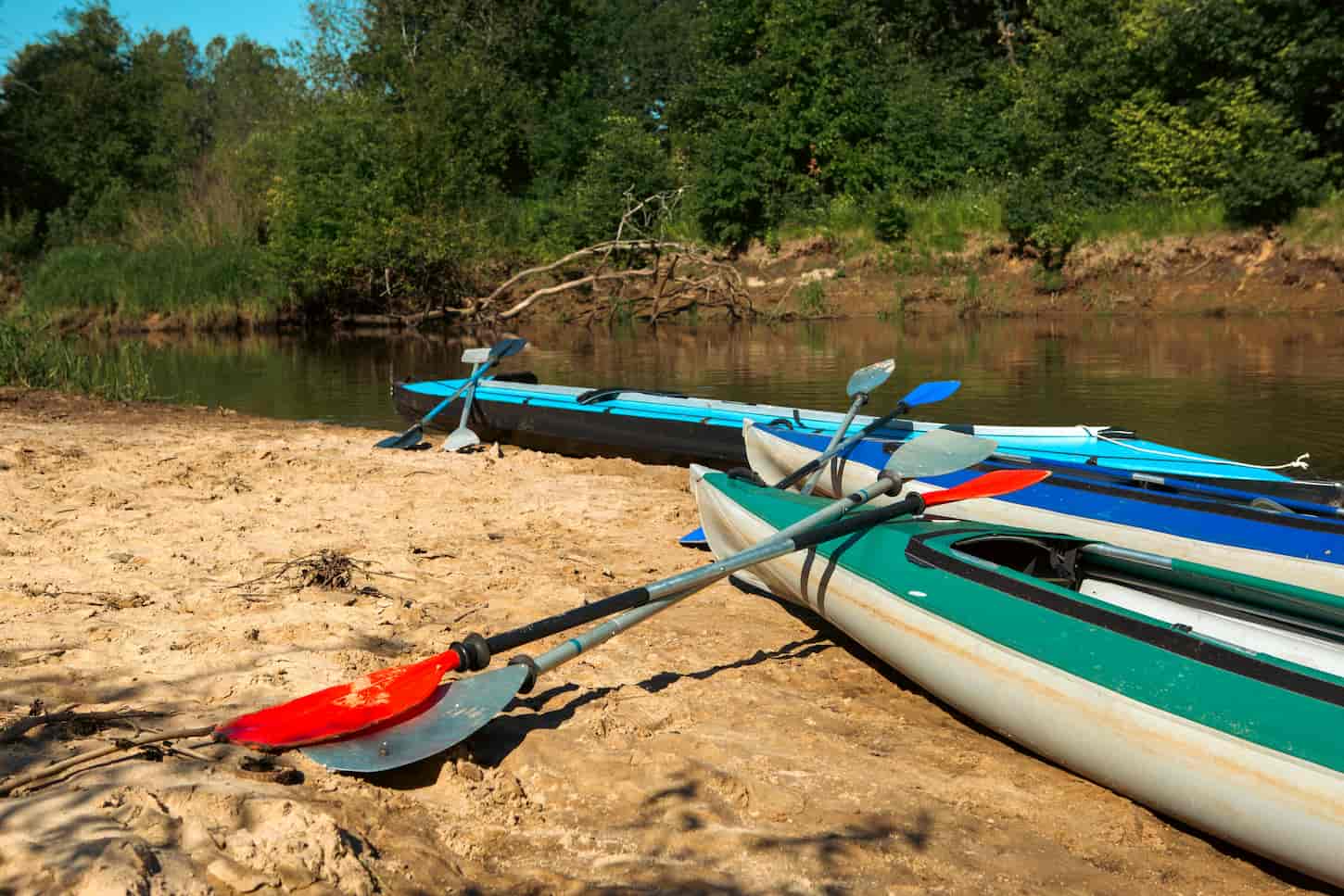 An image of Tourist canoes with paddles standing on the river bank in summer on a water hike.