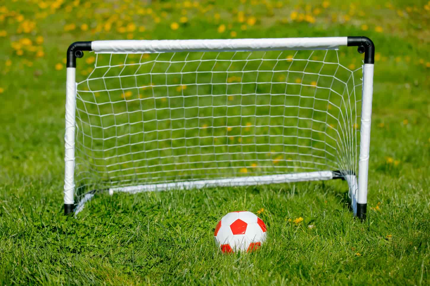 An image of a Little ball and football futsal on green grass.