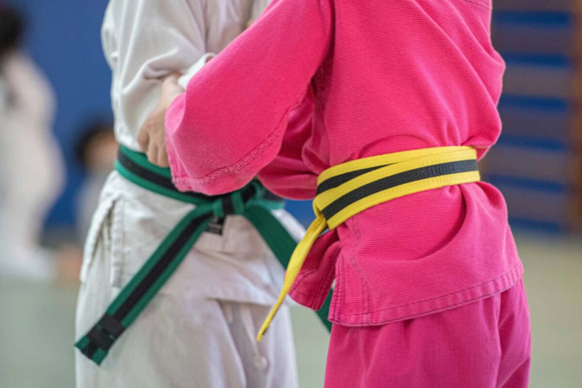 An image of two Kids doing martial arts sparring.